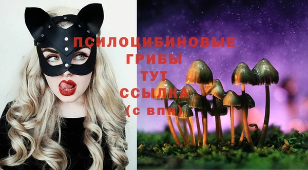спиды Волосово