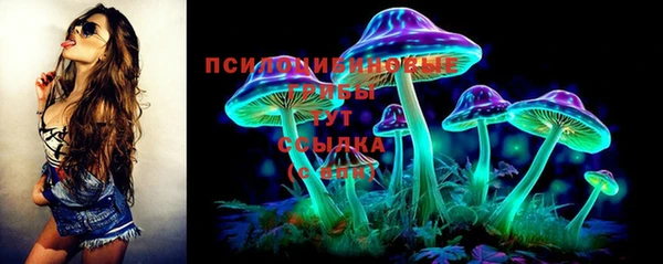 МДПВ Волоколамск